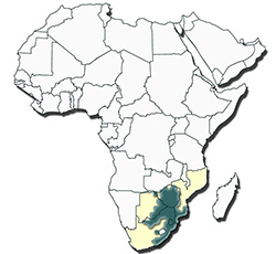 Distribution of Amblyomma hebraeum